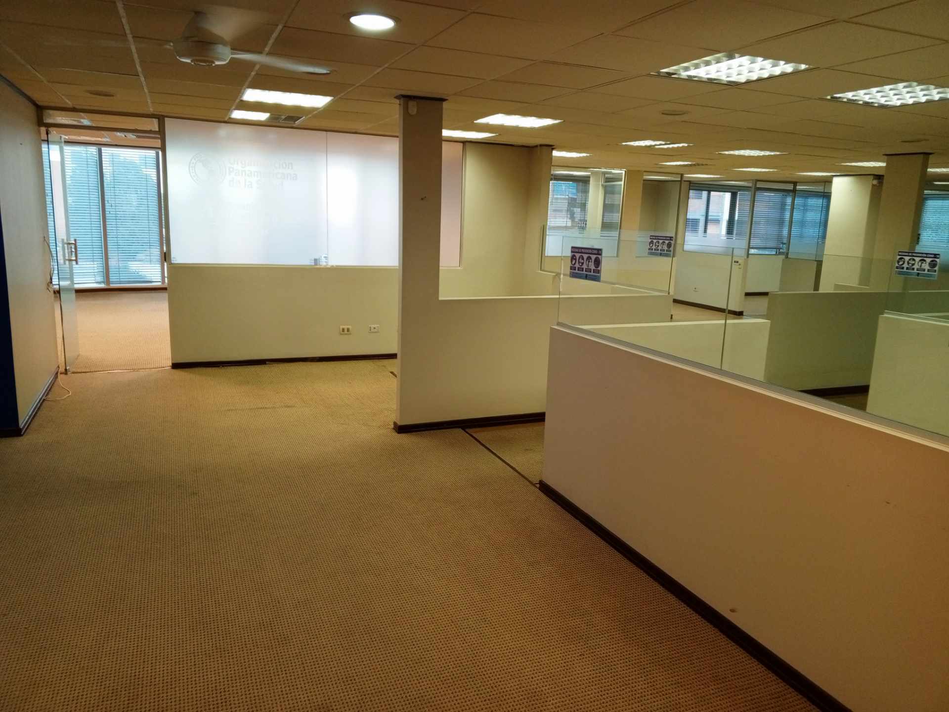 Oficina en AlquilerCalacoto calle 18 entre Av. Sanchez B. y J.C.Patiño 17 dormitorios 7 baños 3 parqueos Foto 3