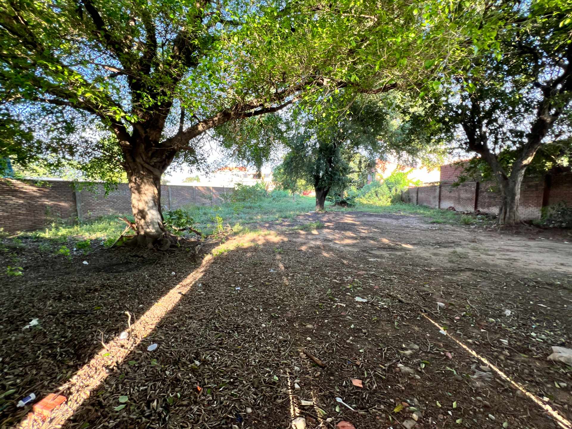 Terreno en Cotoca en Cotoca    Foto 8