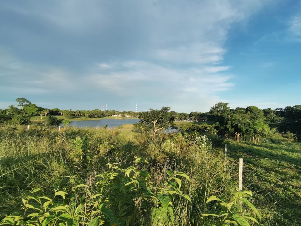 Terreno ¿TE GUSTA EL CAMPO?... ¿Q TAL UN TERRENO FRENTE A UNA LAGUNA? Foto 2