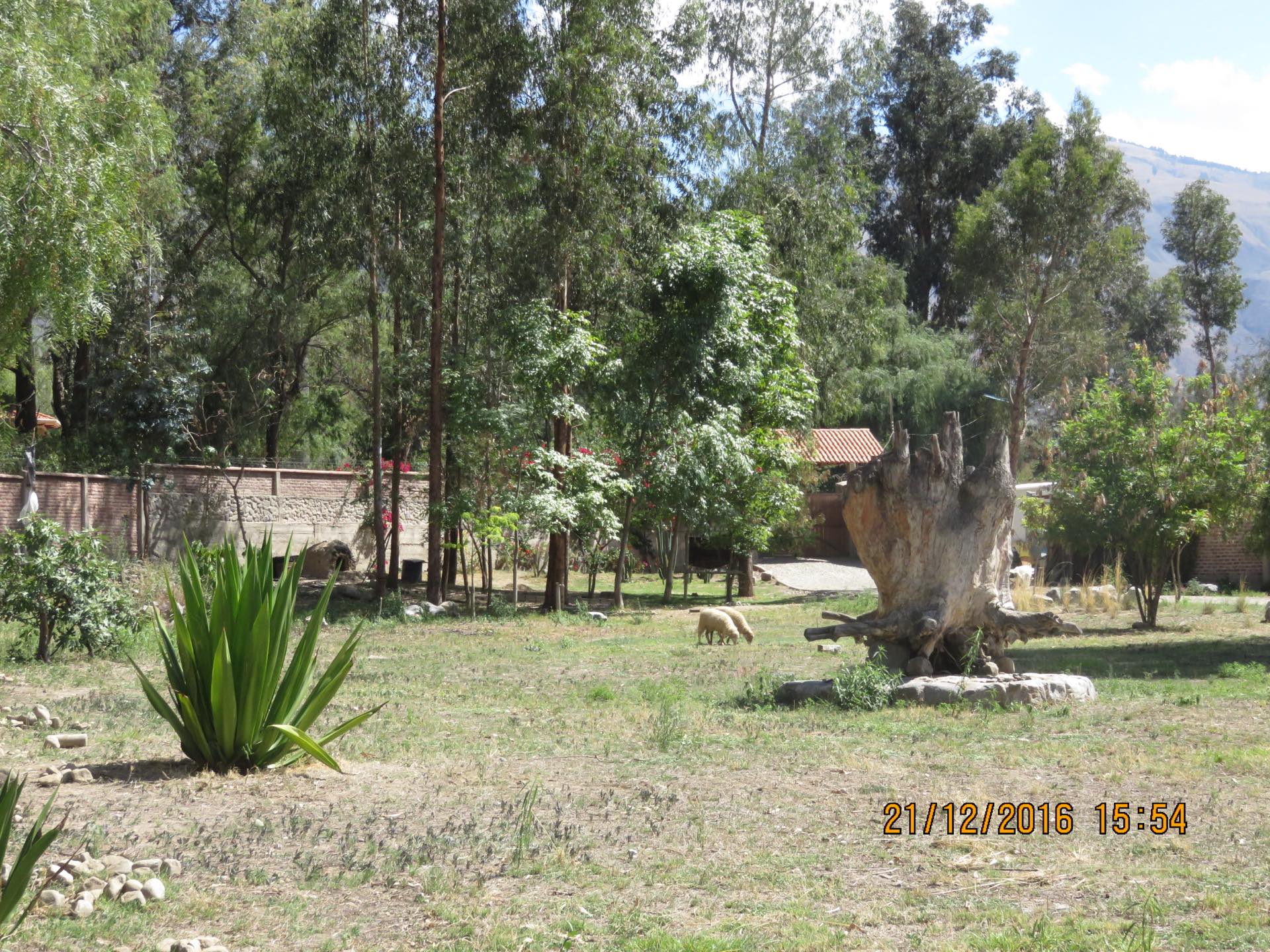 Casa en VentaTiquipaya 6 dormitorios 6 baños 10 parqueos Foto 17