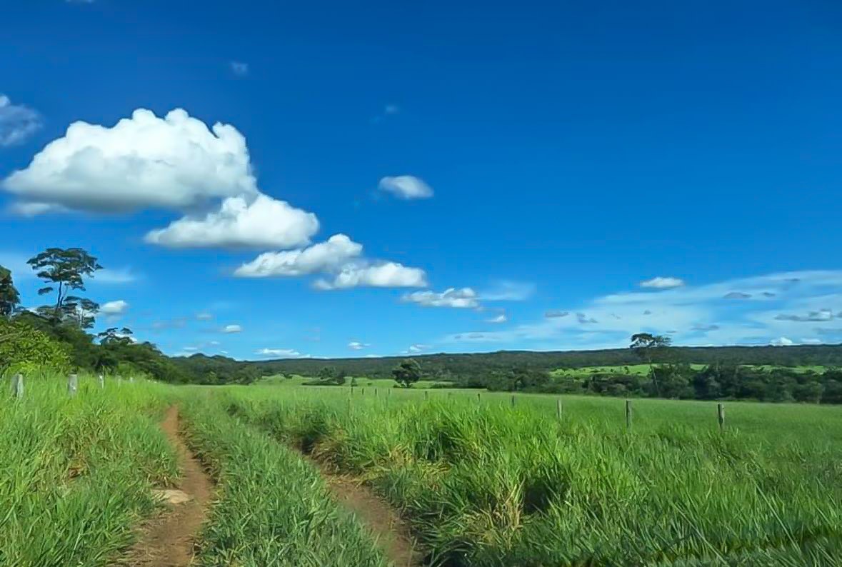 Quinta propiedad agrícola <b>PROPIEDAD DE 3.600 HECTÁREAS EN VENTA EN LA PROVINCIA VELASCO</b>  Foto 4