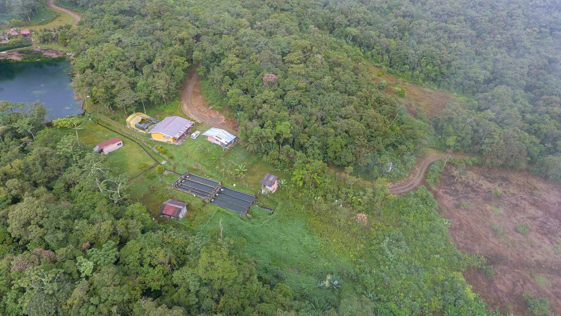 Quinta propiedad agrícola en Villa Tunari (Chapare) en Cochabamba    Foto 8