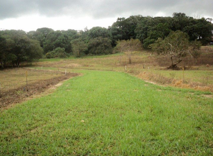 En Venta a $us 20,000 Foto 2