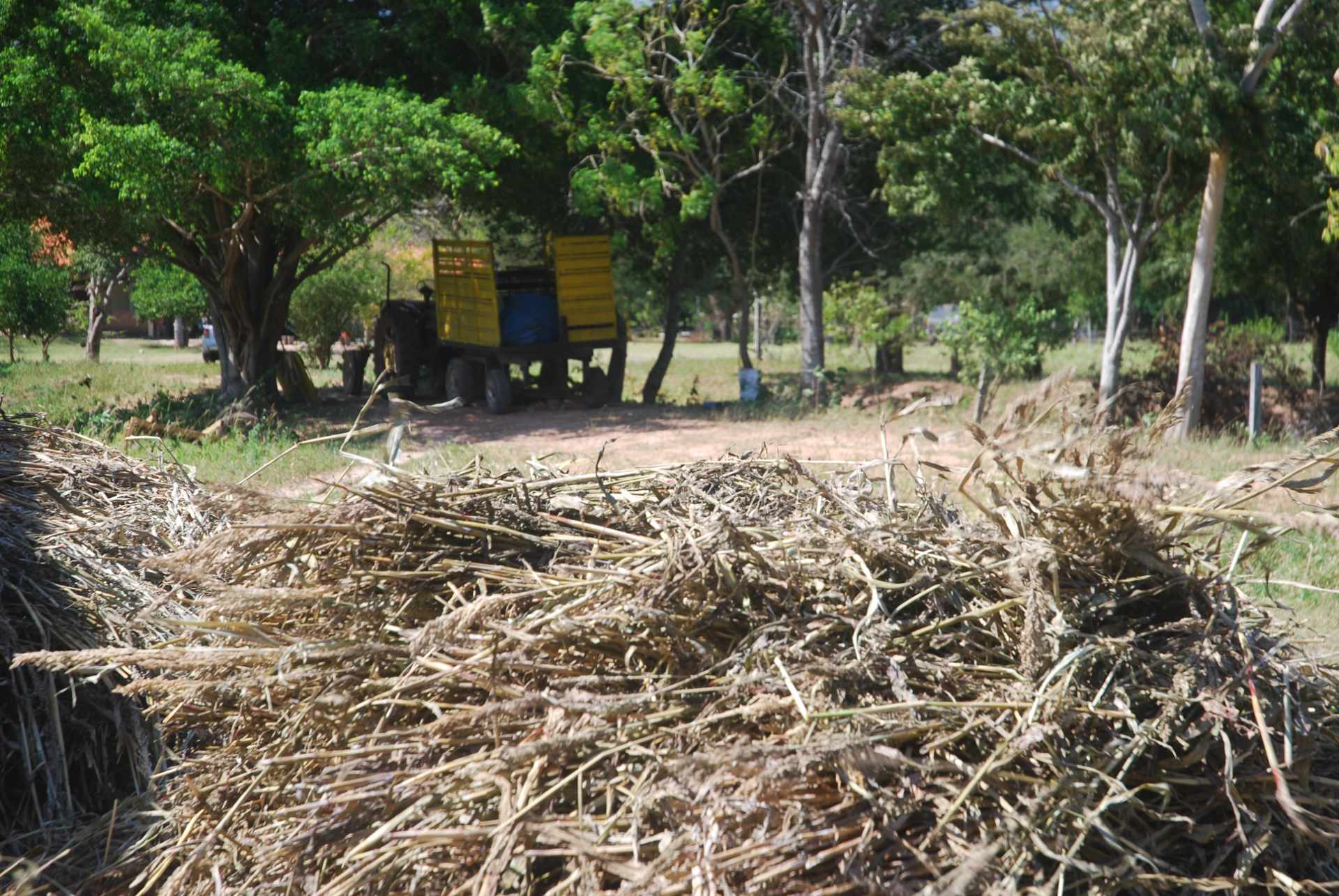 Quinta propiedad agrícola en Venta A 20mn de Warnes  vendo una Hermosa  Lecheria productiva  de 56ha  Foto 14