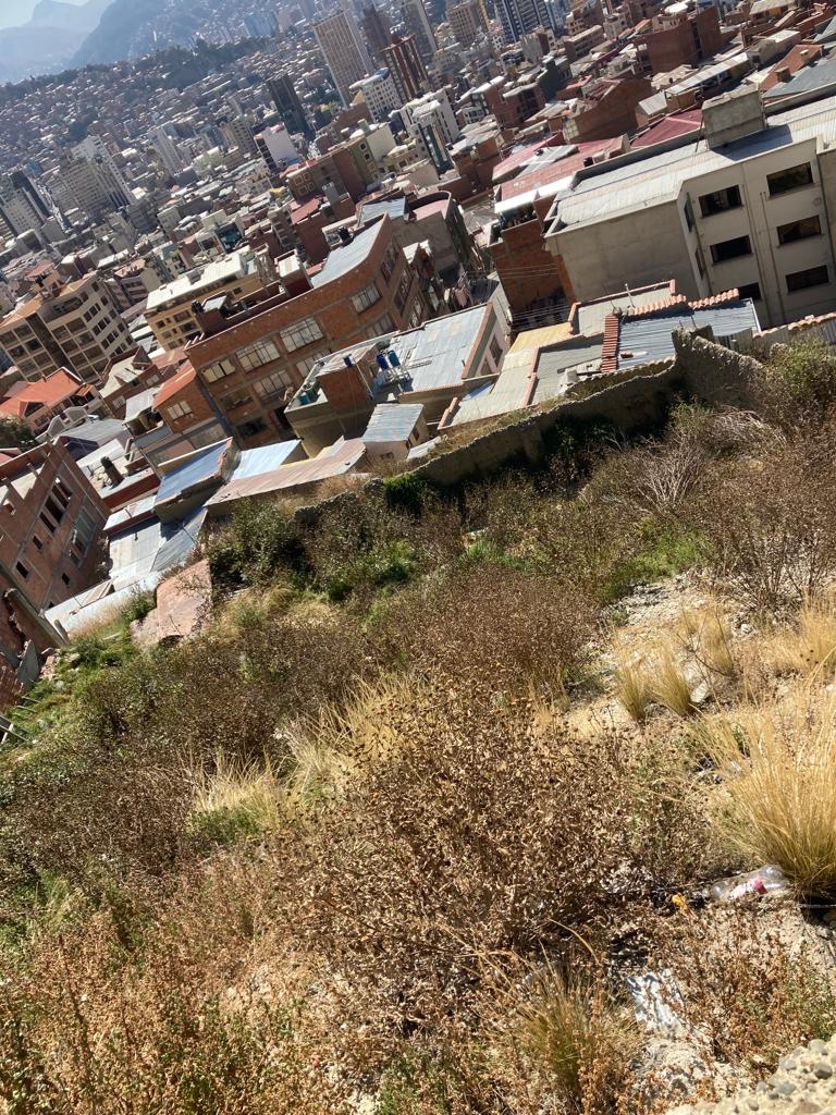 Terreno en San Pedro en La Paz    Foto 3