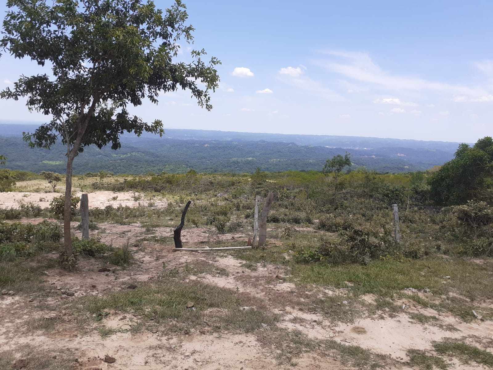 Quinta propiedad agrícola en Doble vía La Guardia en Santa Cruz de la Sierra    Foto 16