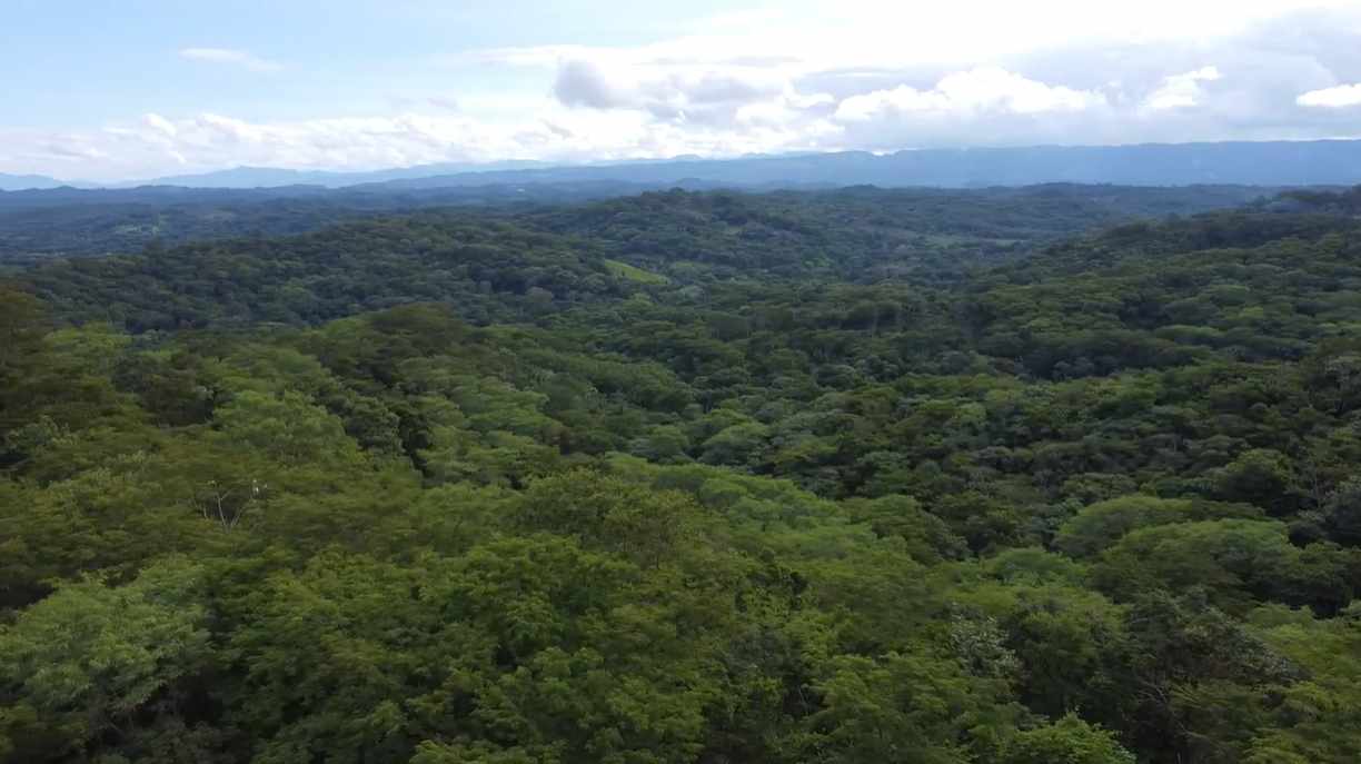 Quinta propiedad agrícola en VentaPropiedad Urbana en Porongo  1 baños  Foto 6