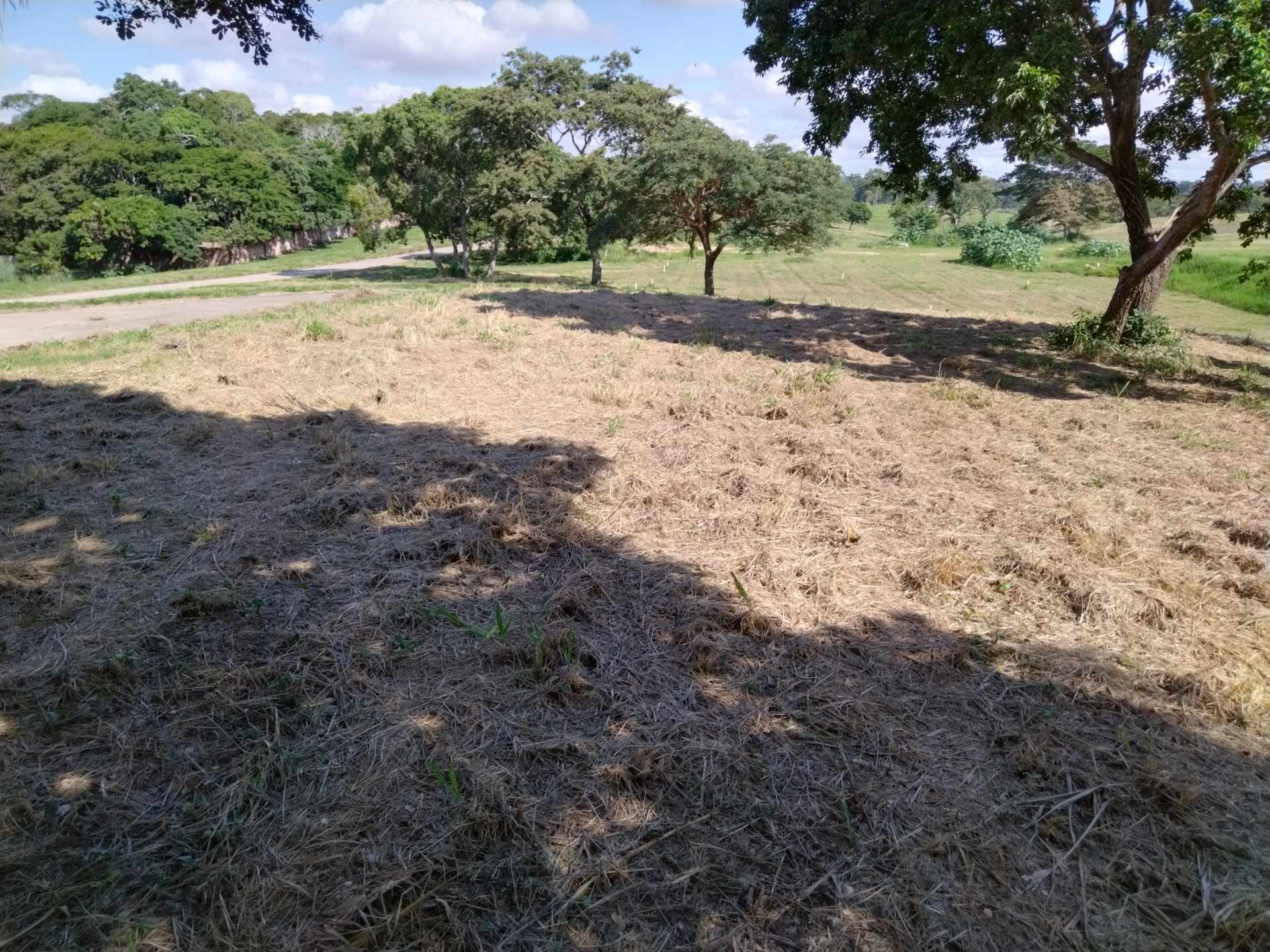 Terreno en VentaCOLINAS DEL URUBO LAS PALMERAS/SECTOR LOMERÍO    Foto 9