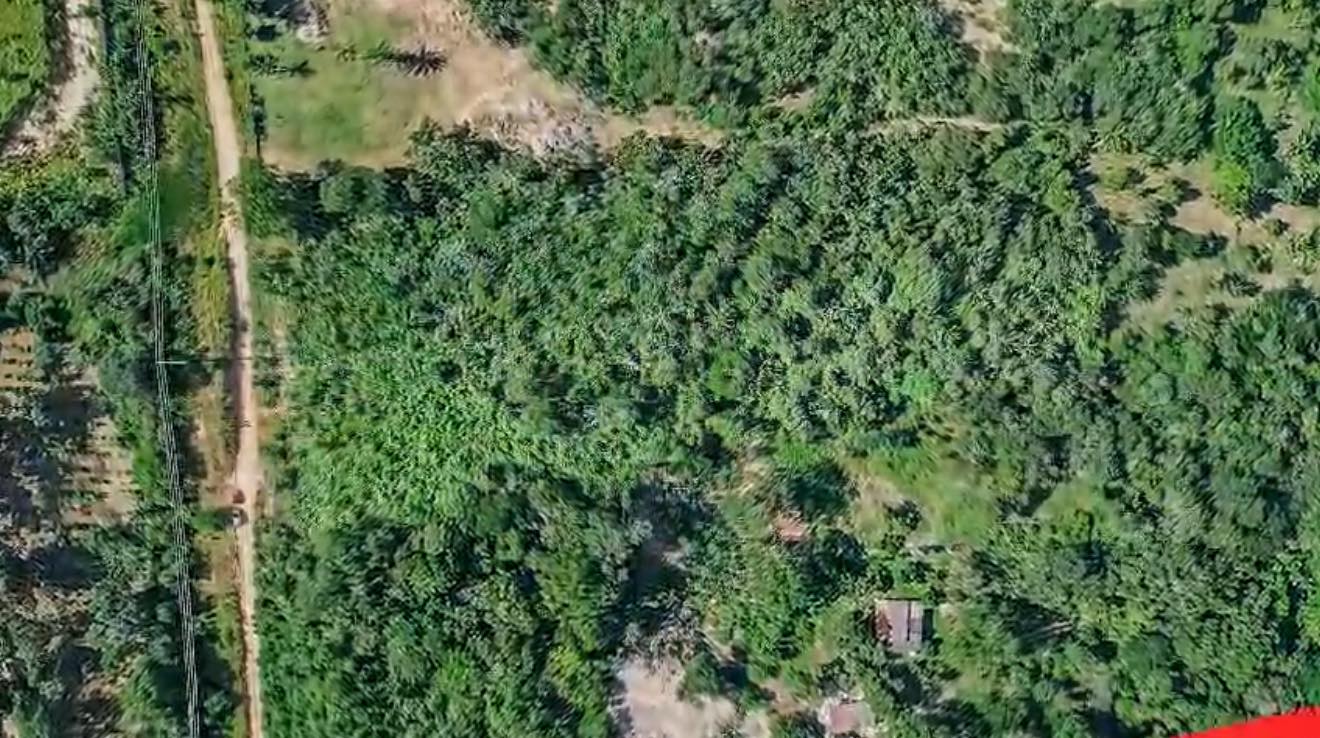 Terreno en Urubó en Santa Cruz de la Sierra    Foto 12