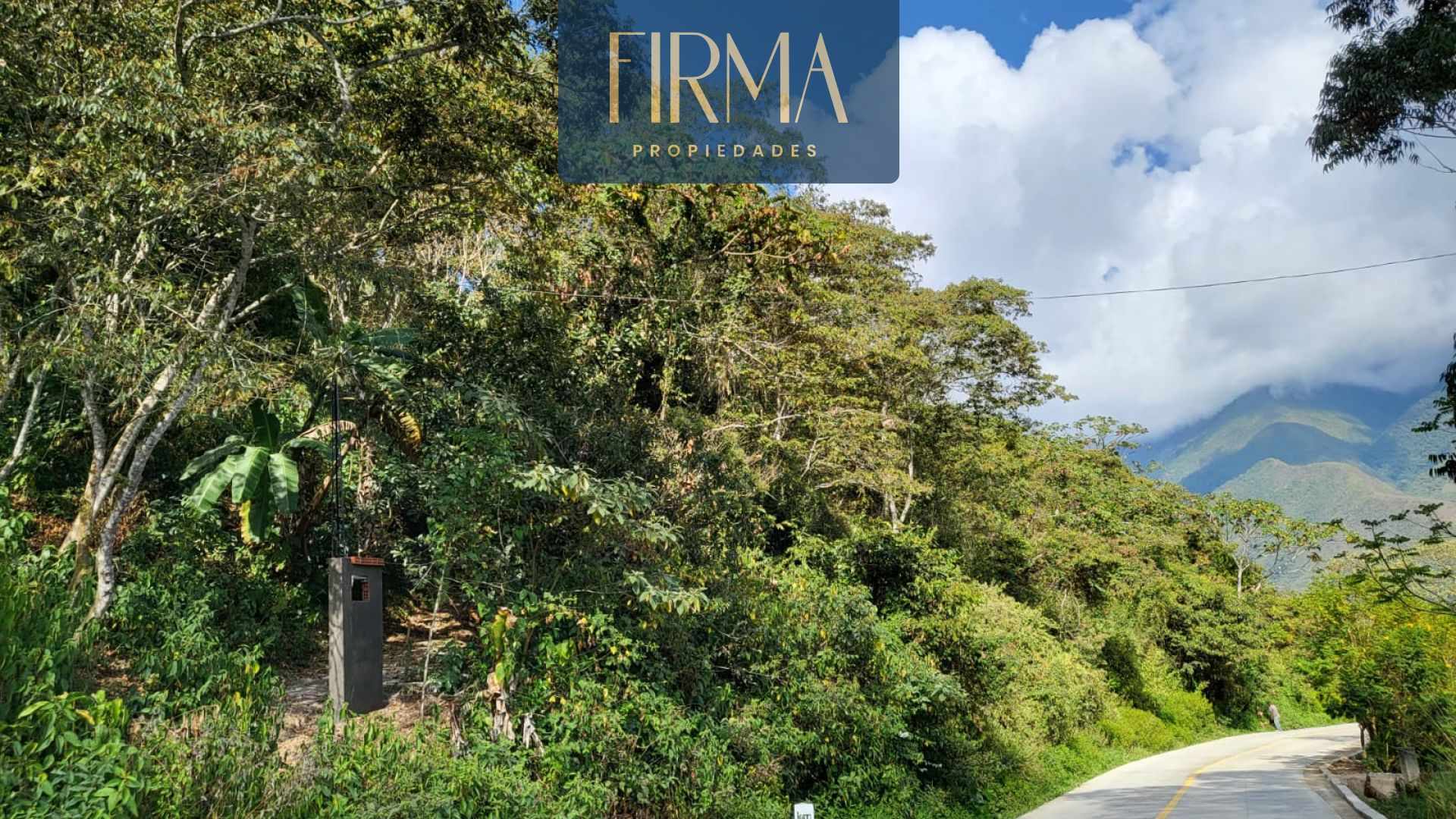 Terreno en Coroico en Coroico    Foto 16