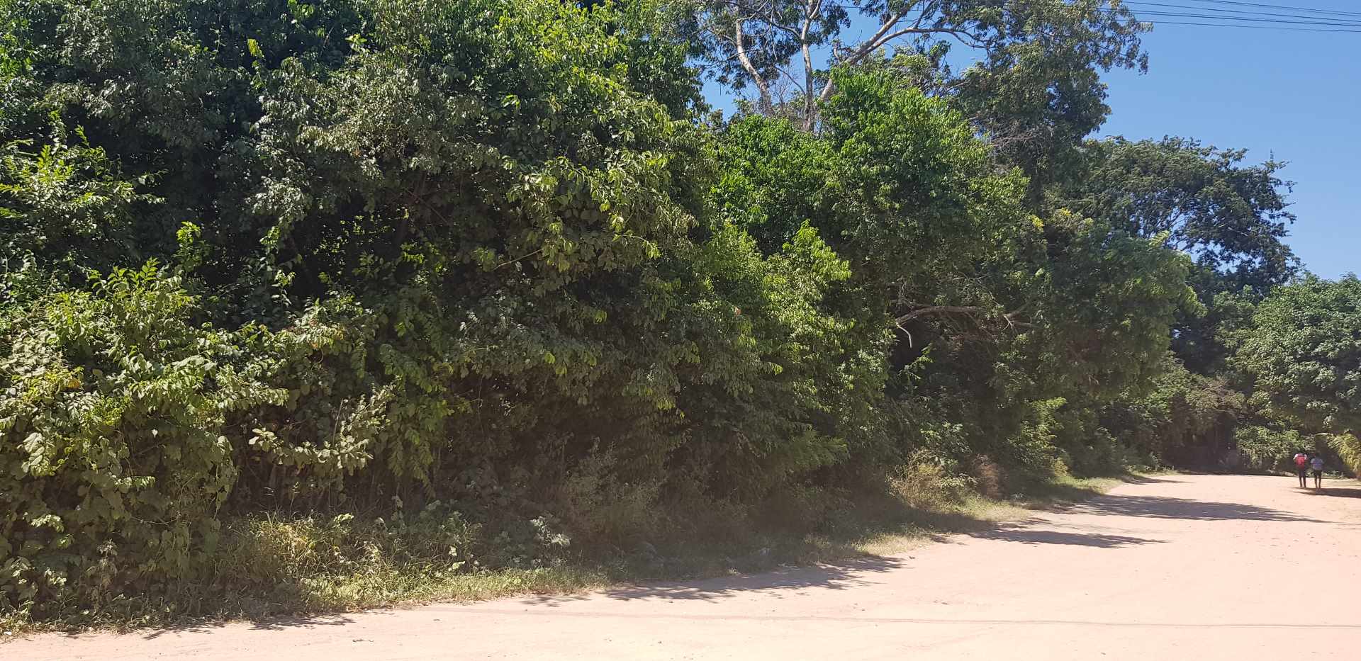 Terreno La Guardia Foto 7