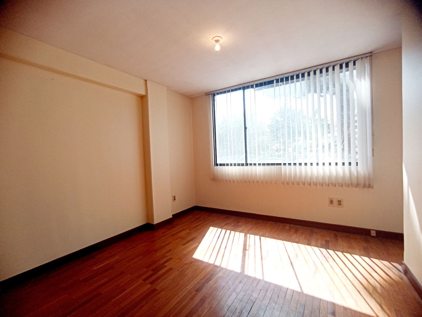 Oficina en VentaObrajes  1 dormitorios 1 baños  Foto 9