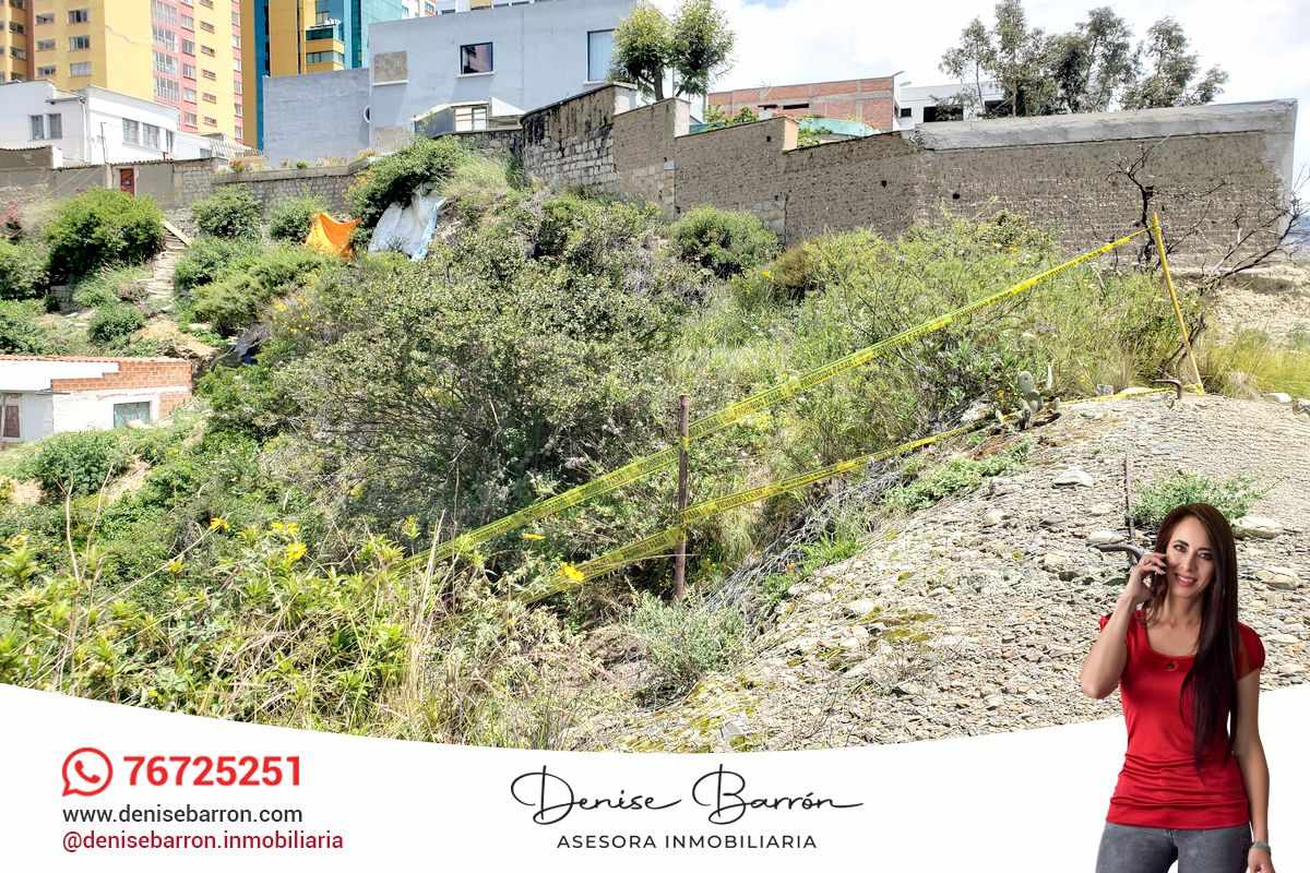 Terreno en San Jorge en La Paz    Foto 6