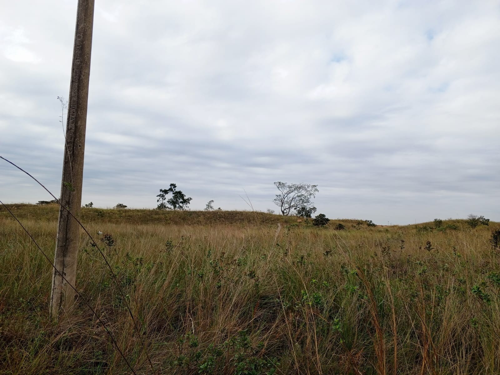 Terreno en VentaUrbanización ciudad del Urubo Foto 5