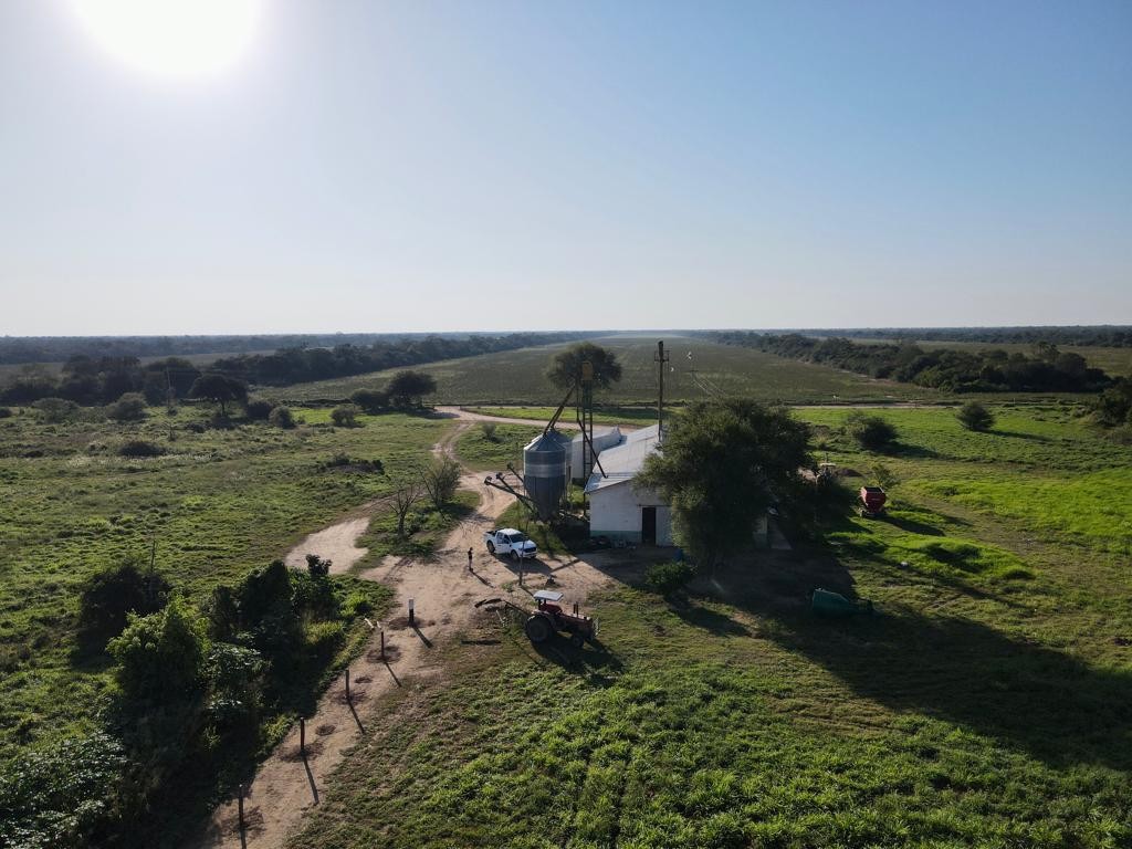 Quinta propiedad agrícola en VentaEn Venta: 2.300 Hectáreas Agrícola - Ganadera en Tres Cruces Foto 8