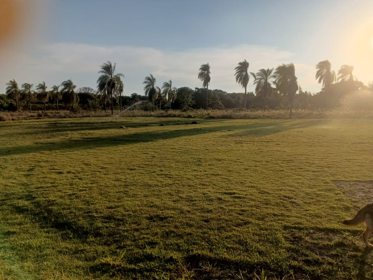 Terreno en Zona Nueva Santa Cruz en Santa Cruz de la Sierra    Foto 2