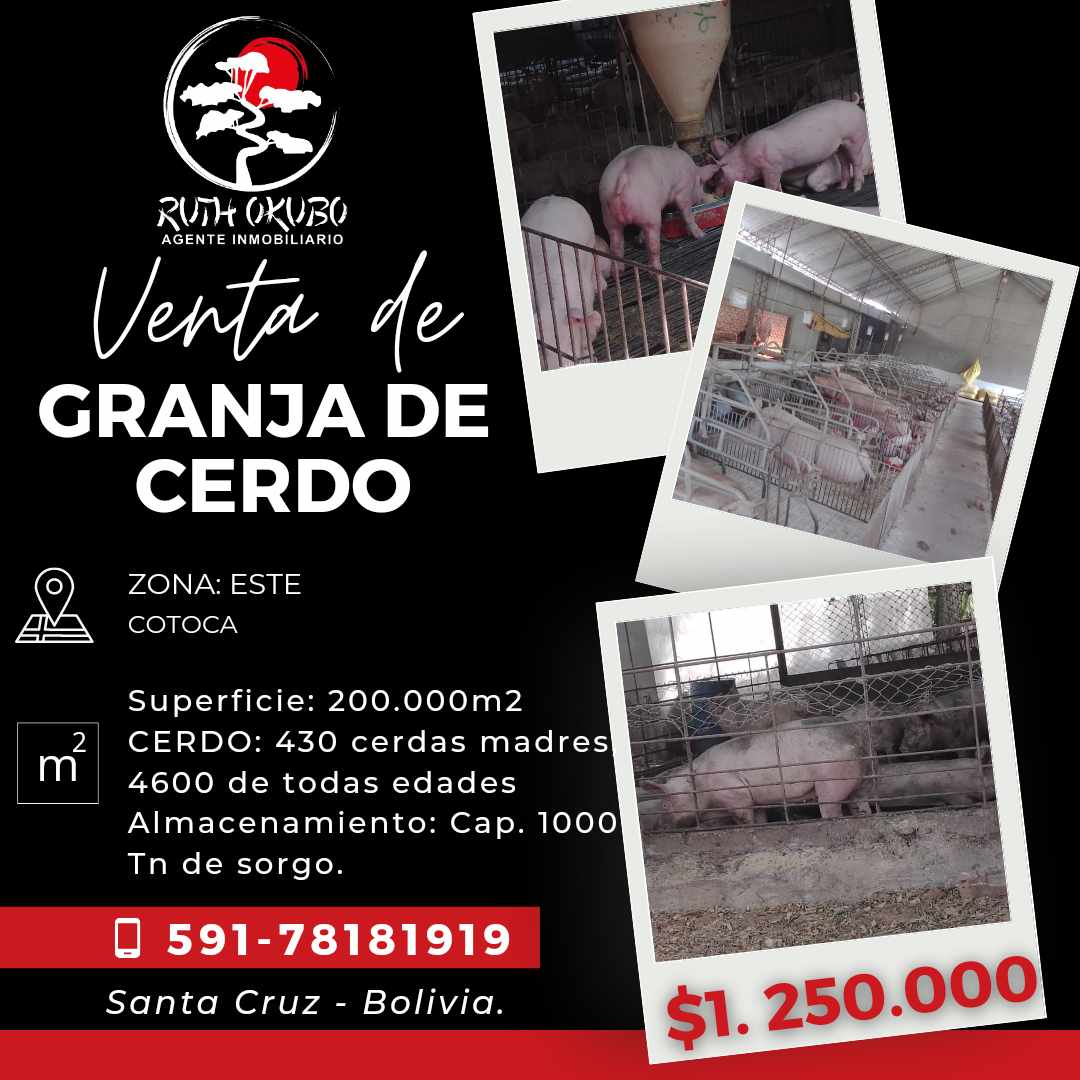 Quinta propiedad agrícola en VentaCOTOCA, ZONA SUE ESTE  Foto 1