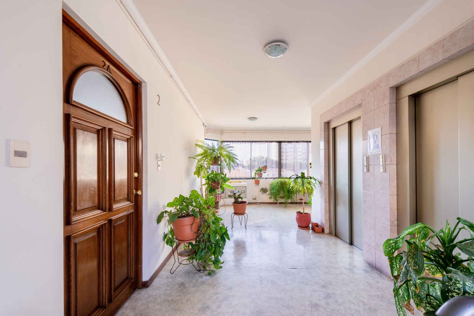 Departamento Calle Junín - entre C/Tte. Arevalo y C/La Paz - Centro Foto 3