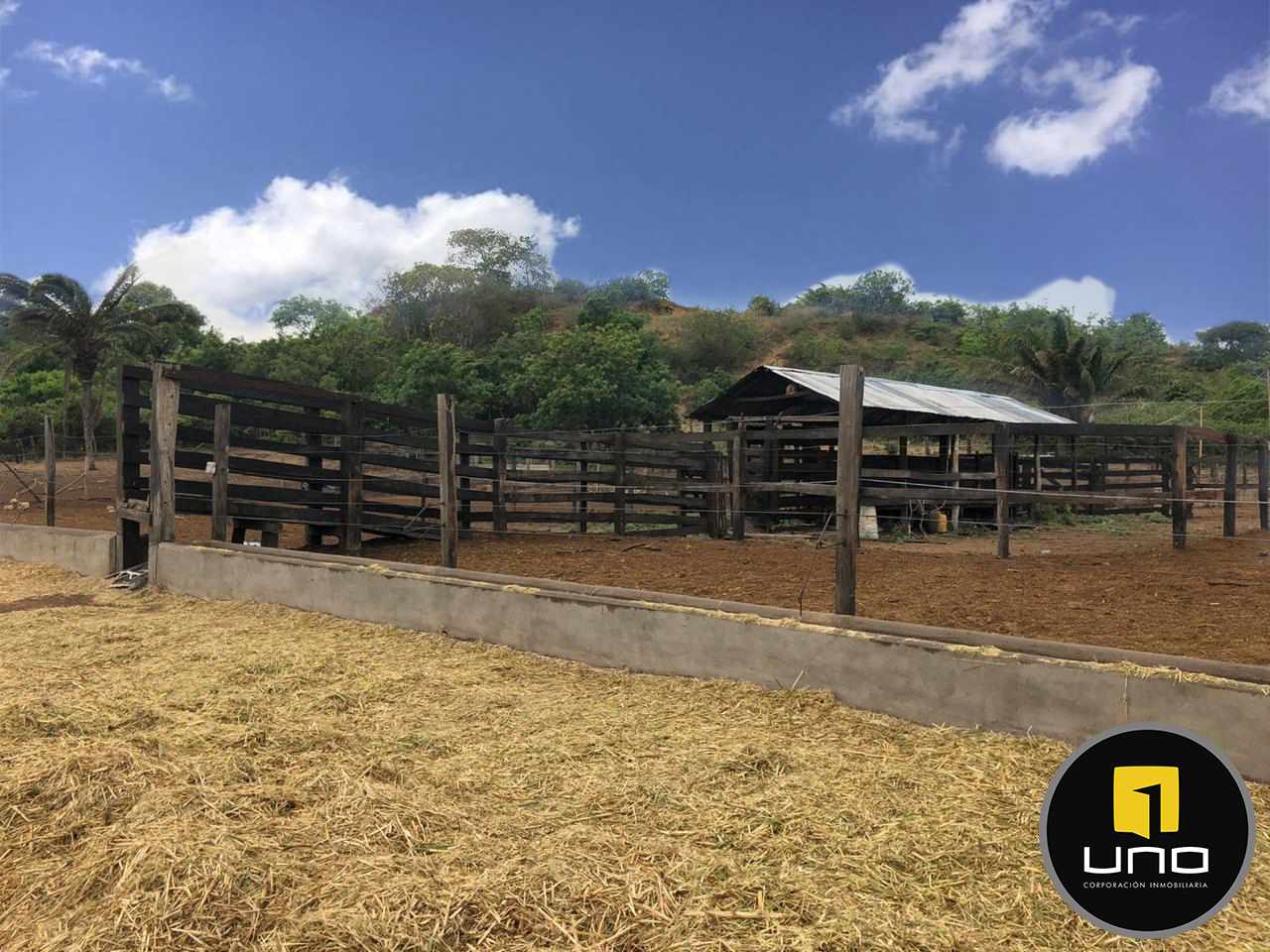 Quinta propiedad agrícola en VentaZona Tundy, camino al nuevo vertedero    Foto 7