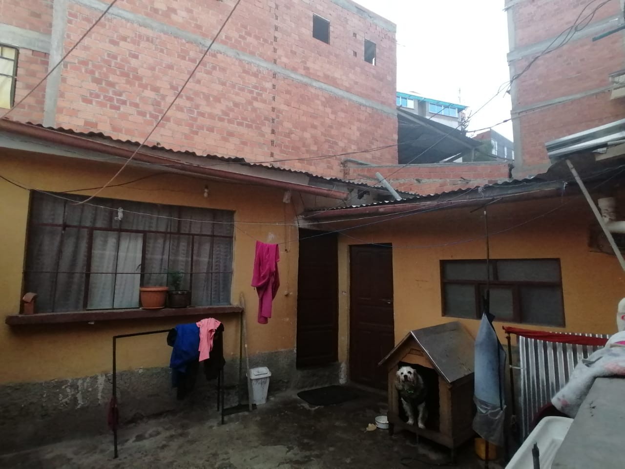Casa en Obrajes en La Paz 6 dormitorios 4 baños 2 parqueos Foto 7