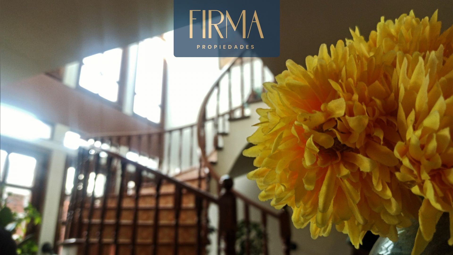 Casa en Calacoto en La Paz 4 dormitorios 5 baños 3 parqueos Foto 20