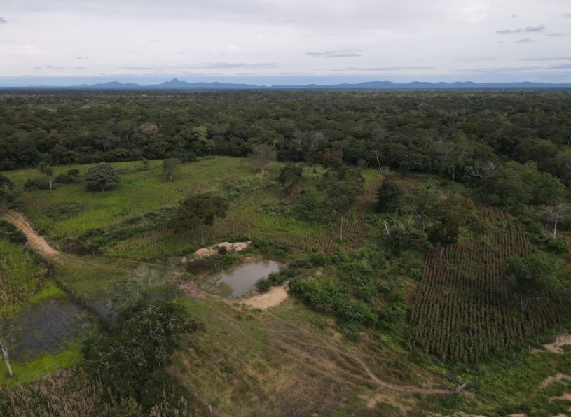Quinta propiedad agrícola en Zona Nueva Santa Cruz en Santa Cruz de la Sierra    Foto 4
