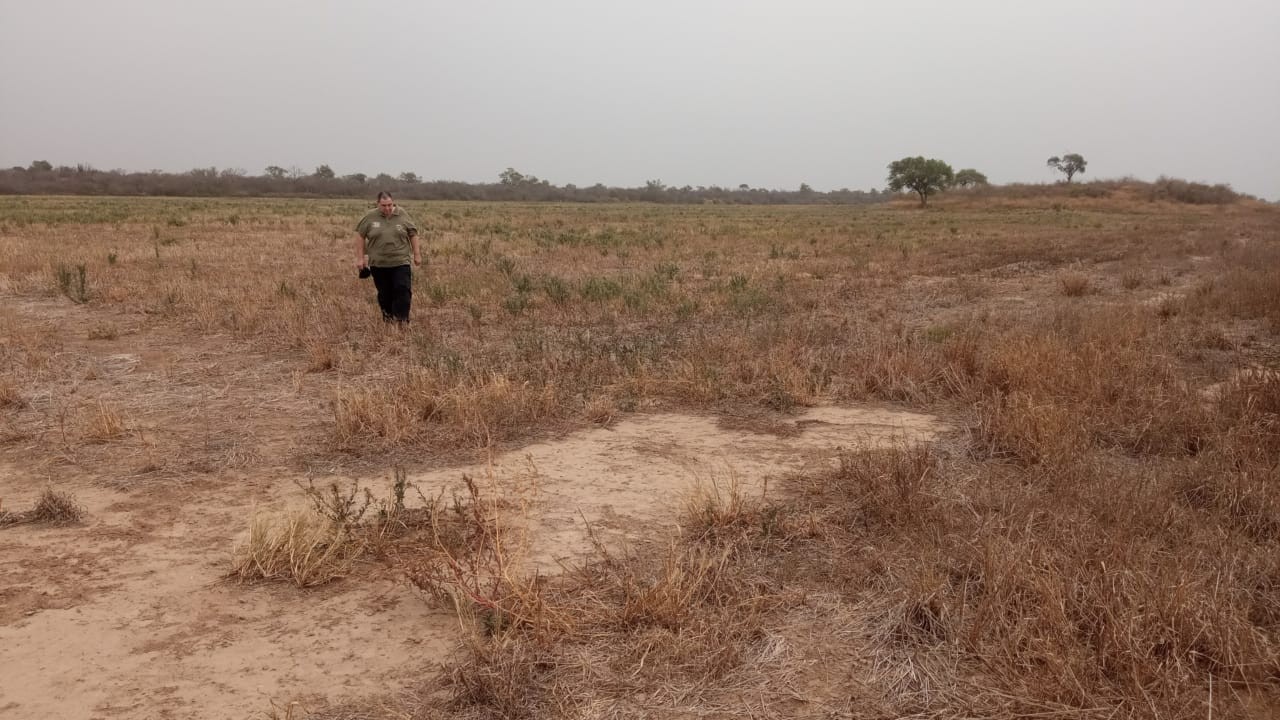 Quinta propiedad agrícola en VentaLinda propiedad  agricola  de 604ha por Pailon Sur, 70km entrando    Foto 11
