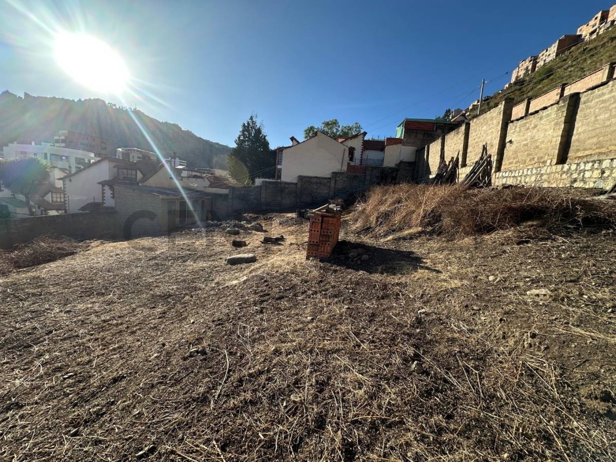 Terreno en AlquilerIRPAVI CALLE PEDRAZA ALTURA C/9 Foto 5