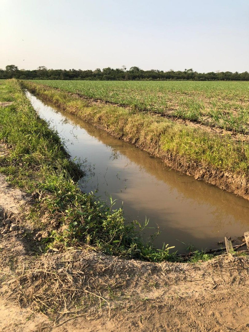 Quinta propiedad agrícola en VentaEn Venta
Propiedad con 100% producción cañera en Montero Foto 2