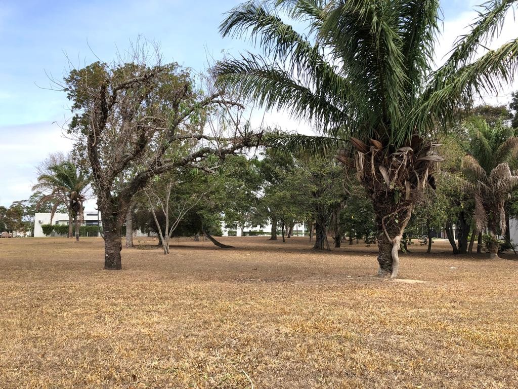 Terreno en Urubó en Santa Cruz de la Sierra    Foto 8