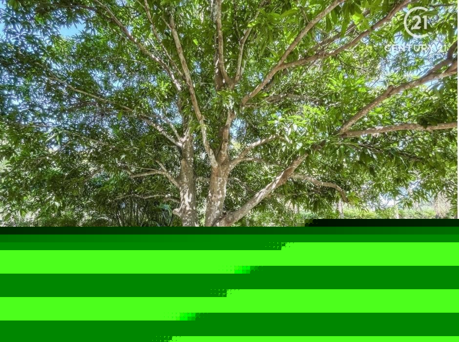 Quinta propiedad agrícola en VentaCarretera a Cotoca Foto 2