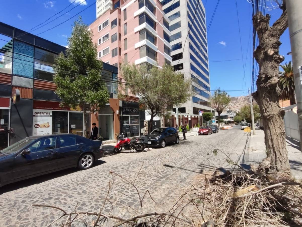 Oficina CALACOTO, CALLE 11 Foto 4