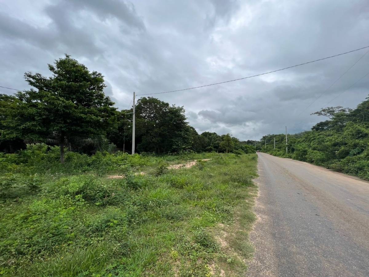 Terreno en VentaSobre Carretera Pavimentada al Cuchi
    Foto 6