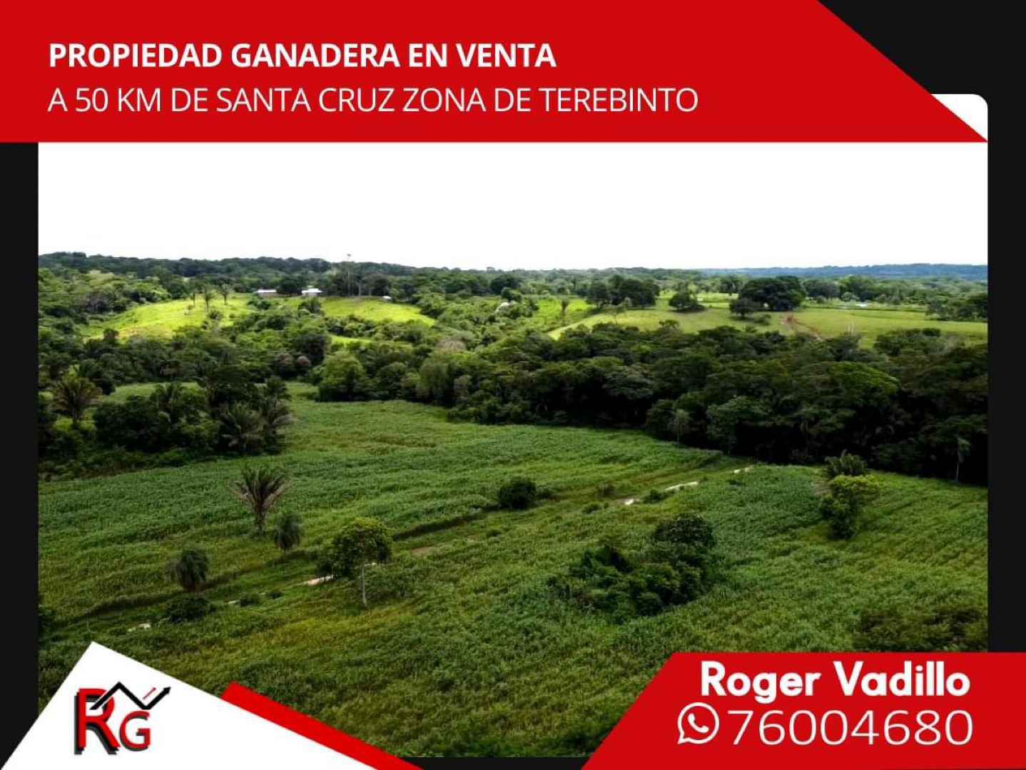 Quinta propiedad agrícola en VentaZona terebinto Foto 1