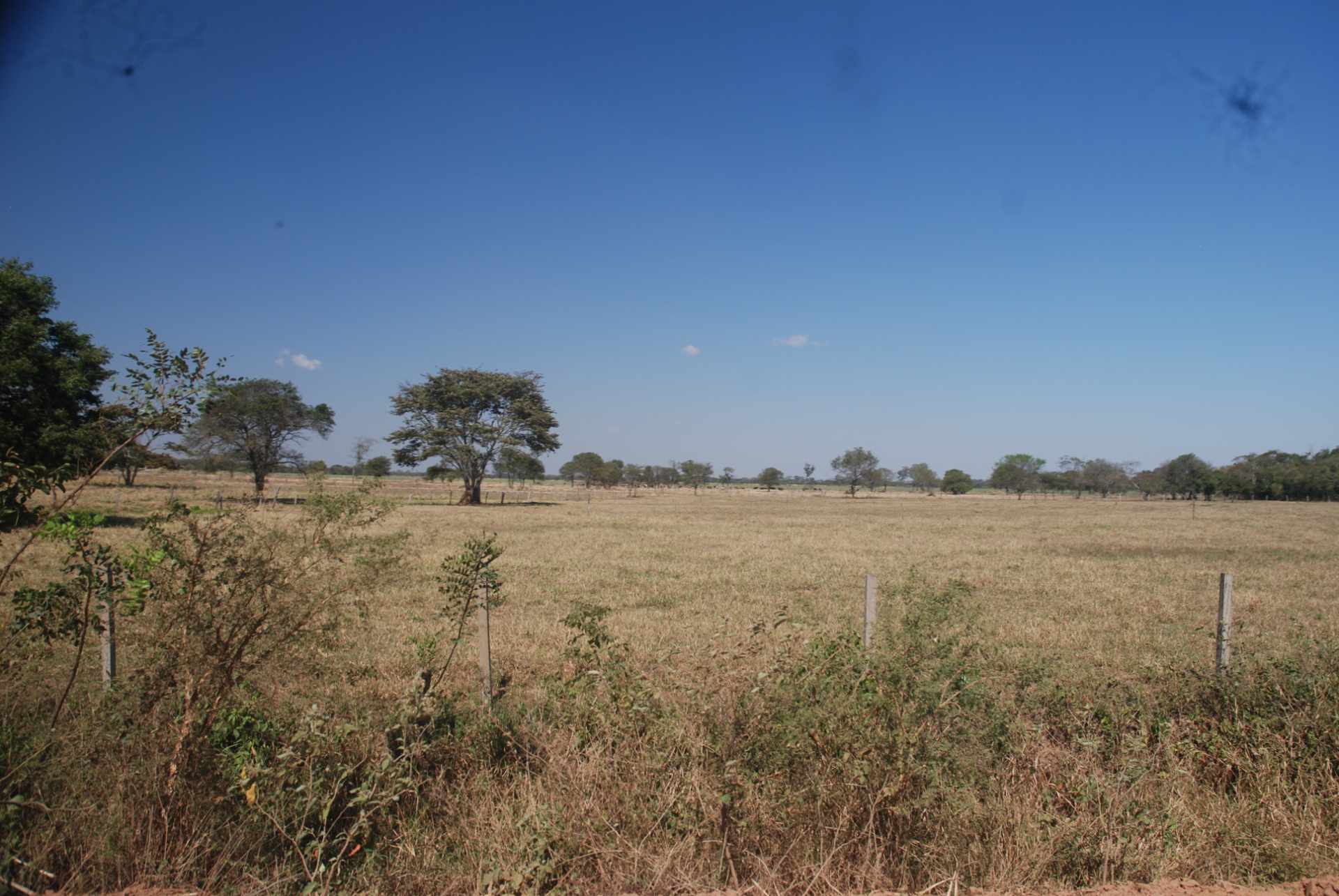 Quinta propiedad agrícola en Venta A 20mn de Warnes  vendo una Hermosa  Lecheria productiva  de 56ha  Foto 15