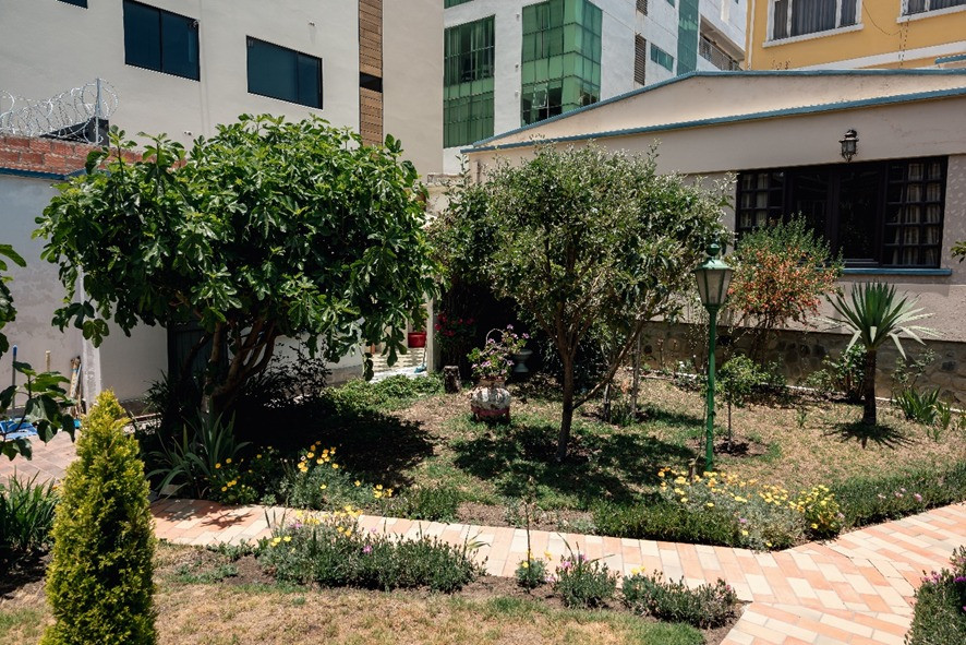 Casa ﻿2 Casas en Venta Irpavi. Calle Ovando. Foto 5