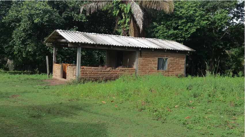 Terreno en VentaPropiedad ganadera en San Javier, 24km al oeste camino hacia El Puente    Foto 4