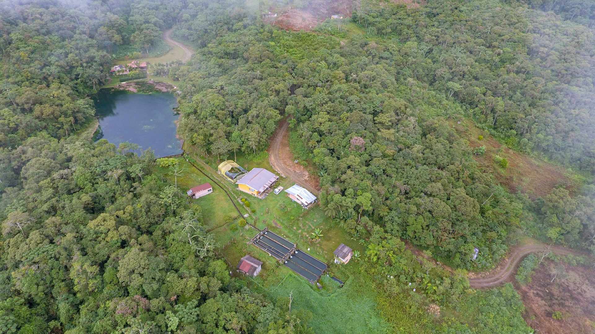 Quinta propiedad agrícola en Villa Tunari (Chapare) en Cochabamba    Foto 4