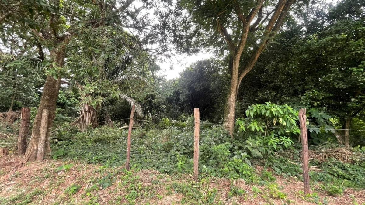 Terreno en Zona Nueva Santa Cruz en Santa Cruz de la Sierra    Foto 5