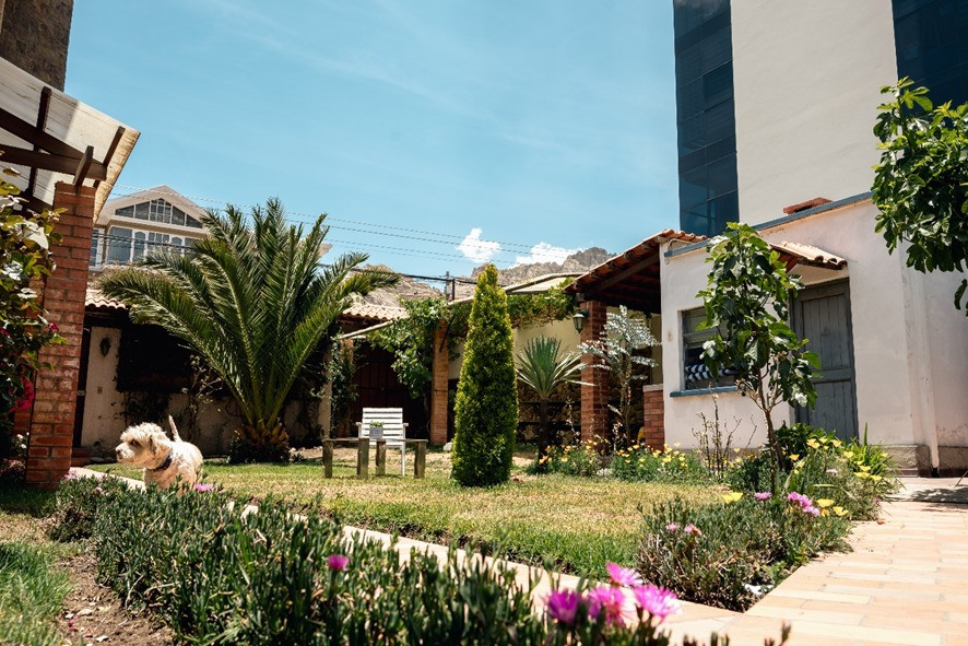 Casa ﻿2 Casas en Venta Irpavi. Calle Ovando. Foto 7