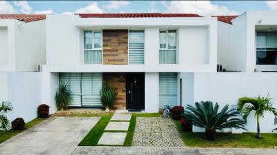 8a856186f8a407288679bc675ff61b3523f242