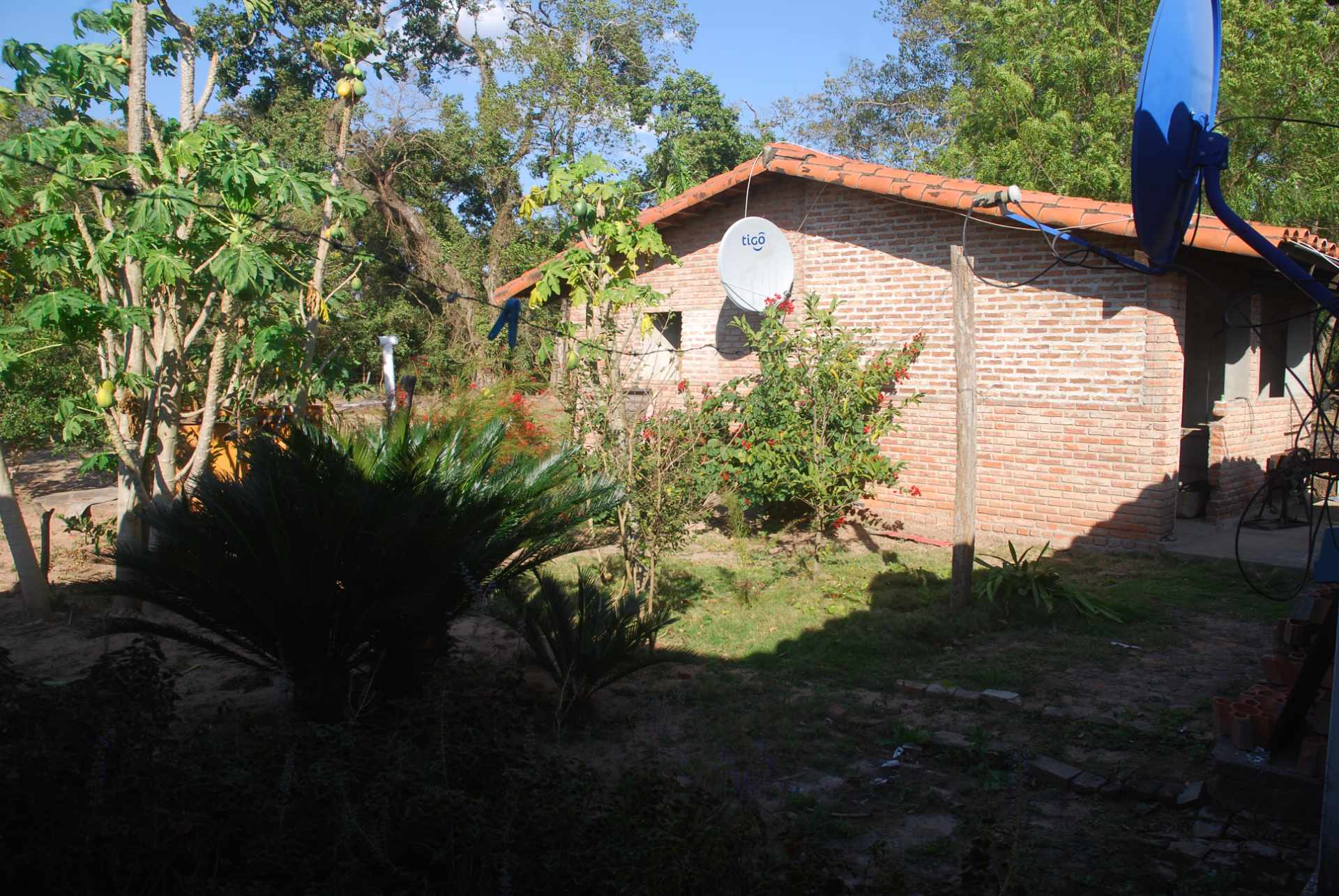 Quinta propiedad agrícola en Venta A 20mn de Warnes  vendo una Hermosa  Lecheria productiva  de 56ha  Foto 25