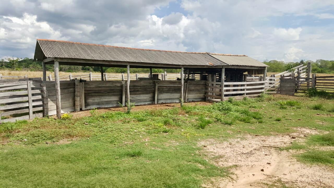 Quinta propiedad agrícola En Venta 546 Hectáreas Ganaderas y Potencialmente Agrícolas en San Ignacio de Velasco Foto 9