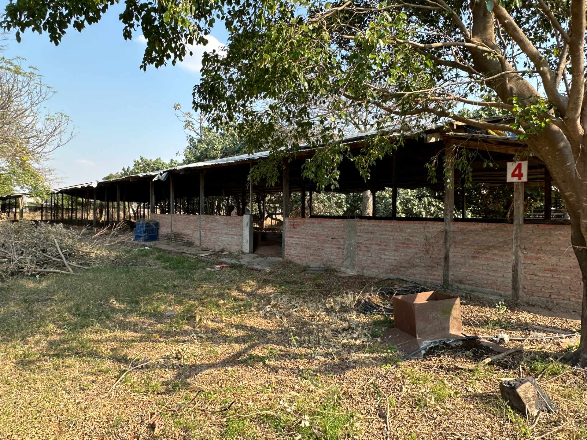 Terreno en VentaSobre Carretera entre Warnes y Montero Foto 4