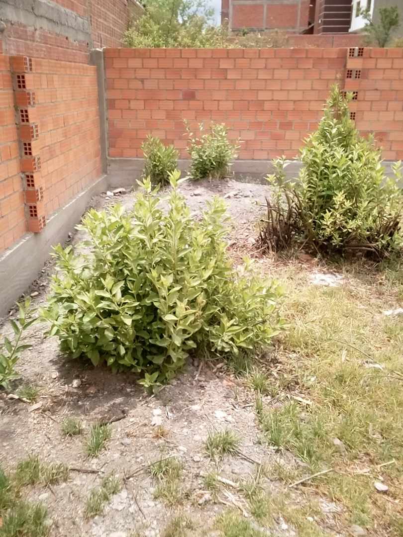 Terreno en VentaEx Fundo Avircato , Cantón Mecapaca, Urbanización “Villa Linda” Foto 9