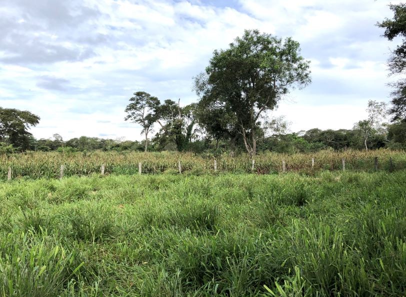 Quinta propiedad agrícola en VentaSan José de Chiquitos - Propiedad Ganadera de 1.726 Has    Foto 32