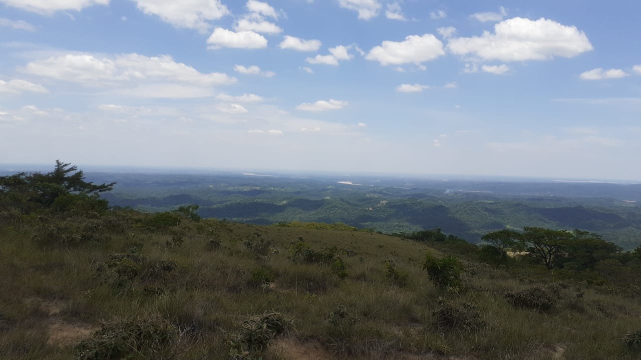 Quinta propiedad agrícola en Doble vía La Guardia en Santa Cruz de la Sierra    Foto 1
