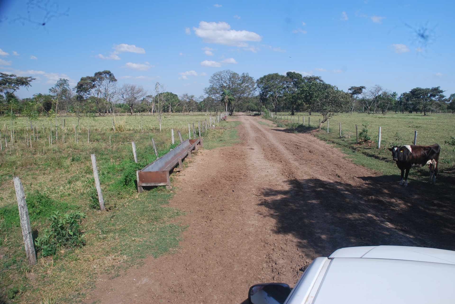 Quinta propiedad agrícola en Venta A 20mn de Warnes  vendo una Hermosa  Lecheria productiva  de 56ha  Foto 6