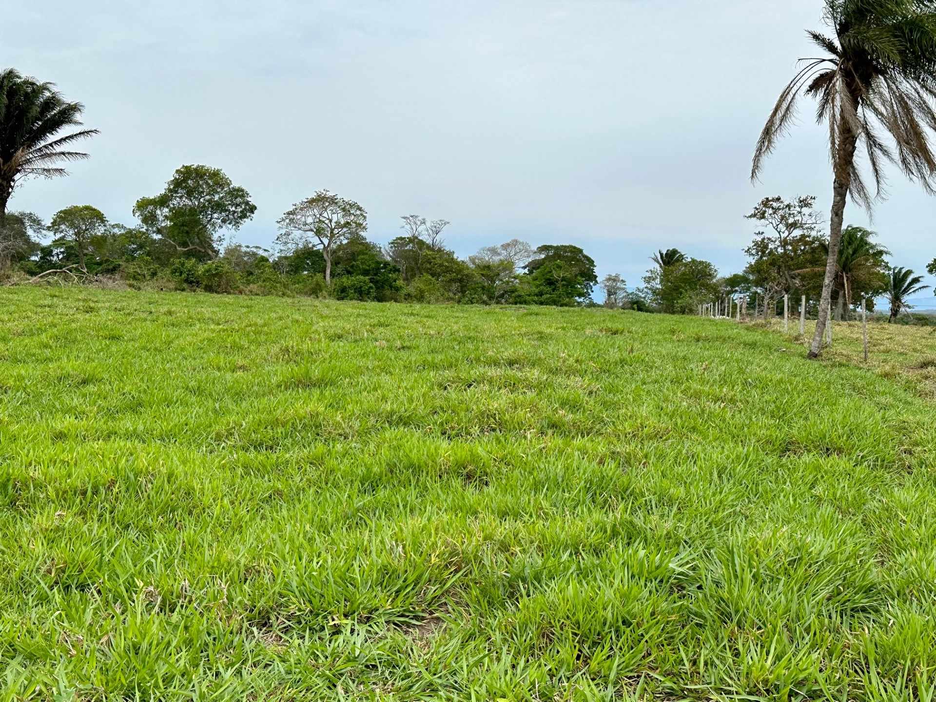 Quinta propiedad agrícola en VentaEn Venta 850 Hectáreas Ganaderas y con Potencial para Urbanizar en Portachuelo    Foto 4