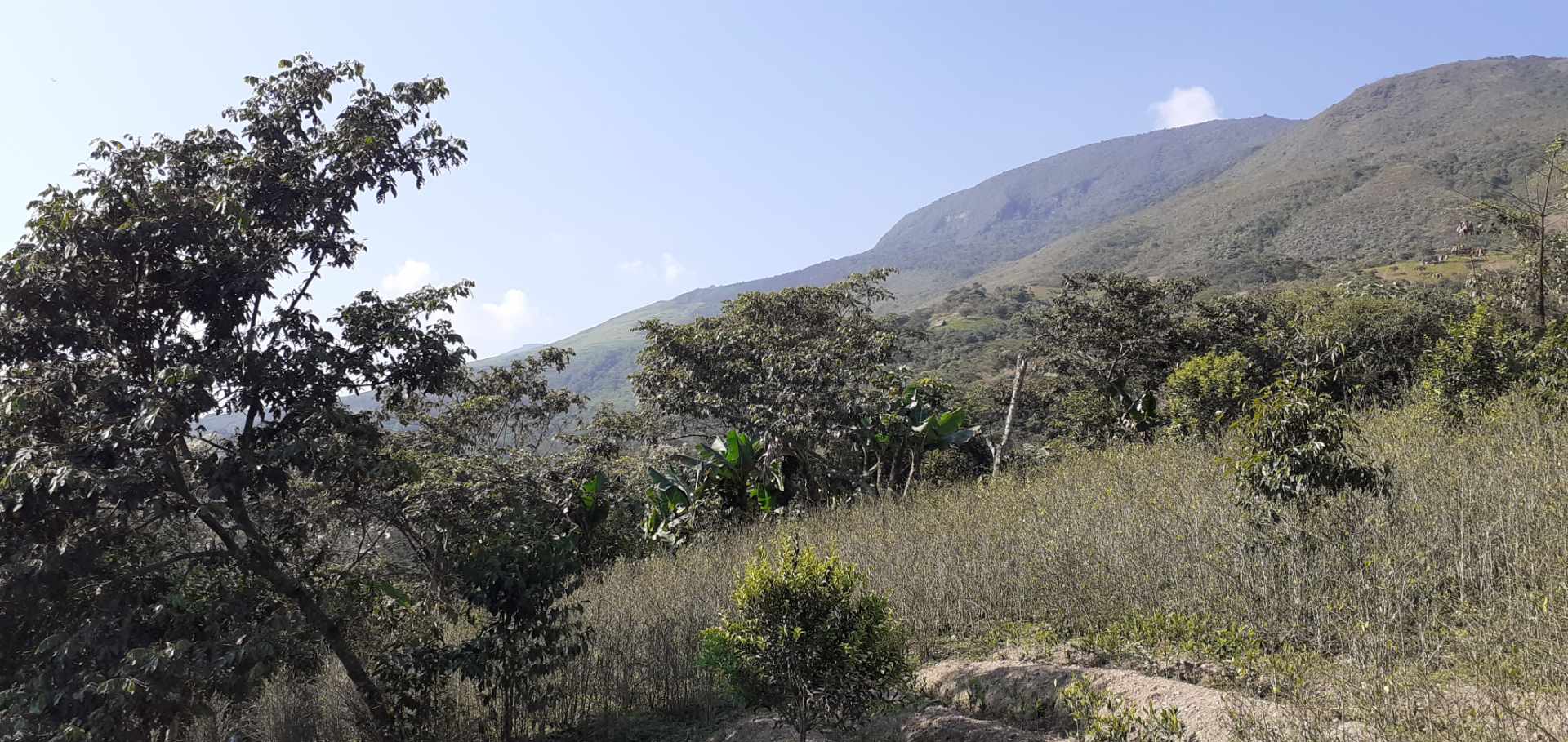 Terreno en Calacoto en La Paz    Foto 5